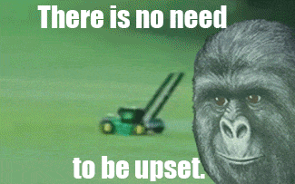 tumblr_mejpk7u0l91rn6x6do1_400.gif tumblr_mejpk7u0l91rn6x6do1_400.gif