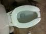 toilet_flush_success.jpg