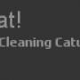 cleaningcat0.png